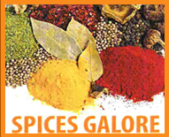 Spices Galore Logo